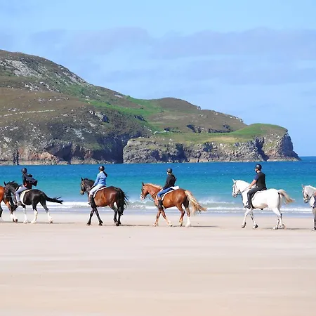 بيت ضيافة The Mill 4*