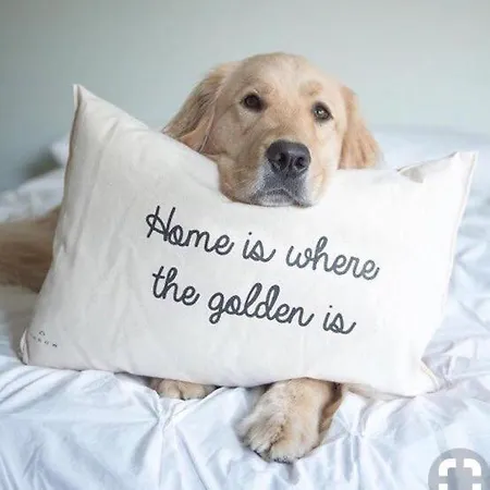 Pensionat The Mill 4*