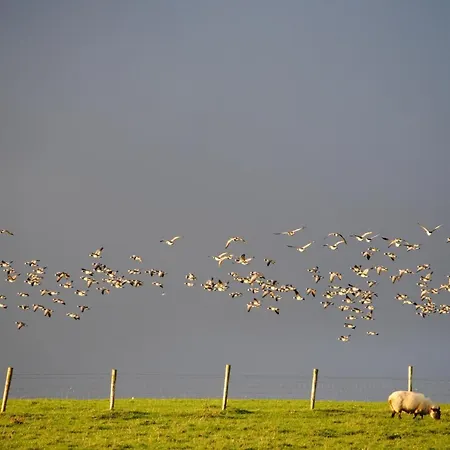 بيت ضيافة The Mill