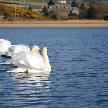 بيت ضيافة The Mill 4*