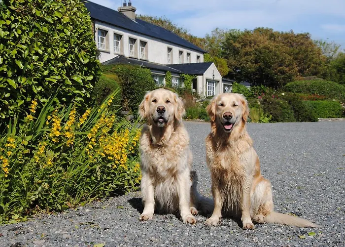 The Mill ゲストハウス ダンファナイー