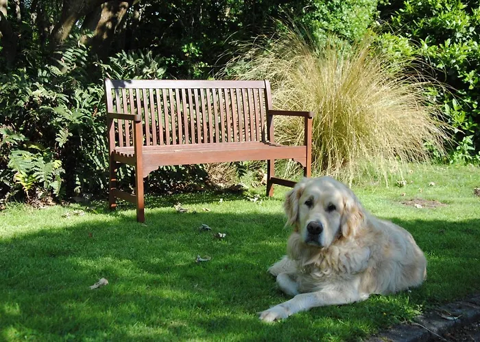 The Mill Maison d'hôtes