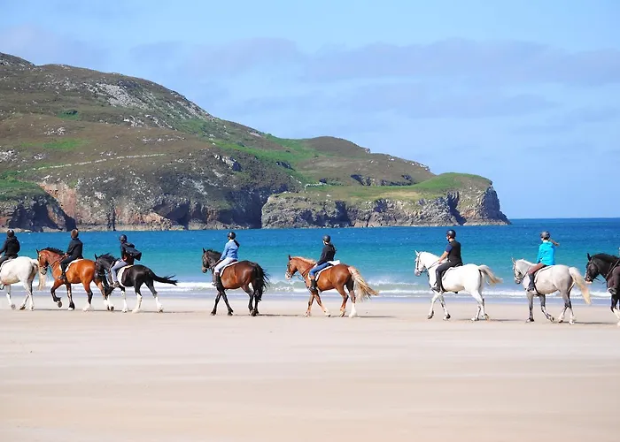 ゲストハウス The Mill 4*