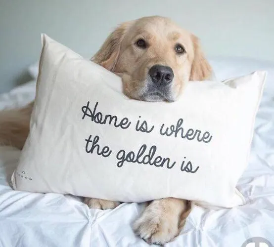 Maison d'hôtes The Mill 4*