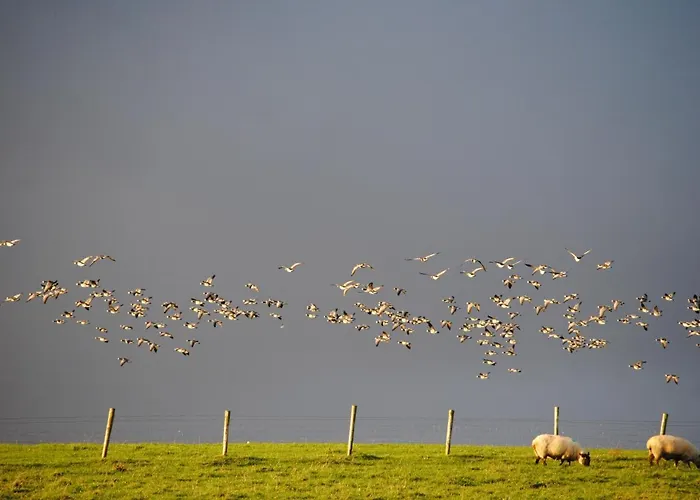 Guest house The Mill