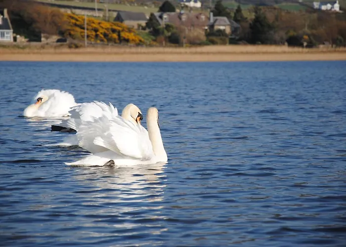Maison d'hôtes The Mill 4*